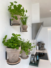 Load image into Gallery viewer, Ida Leerbæk - Plantwire - Svart - veggjaupphang til urtapott