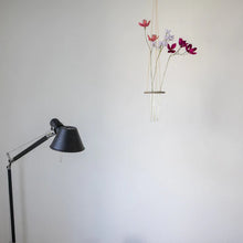 Load image into Gallery viewer, Flora - Ida Leerbæk - Loftupphang til urtapott