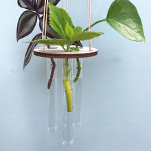 Load image into Gallery viewer, Flora - Ida Leerbæk - Loftupphang til urtapott